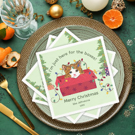 Süße Katze in einer Schachtel Hier wegen der Schac Serviette