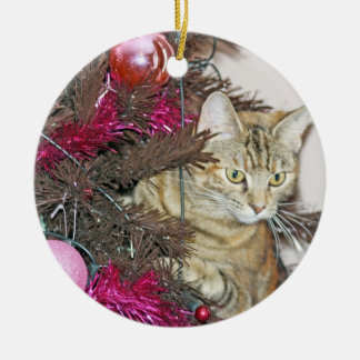 süße Katze innerhalb einer Keramik Ornament