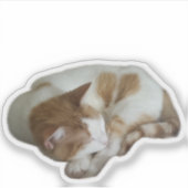 Süße Katze mit gebrochenem Herzen Aufkleber (Vorderseite)