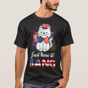 Süße Katze mit US-Flagge Nur hier um den 4. Juli T-Shirt