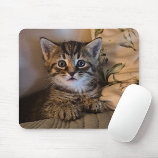 Süße Katze Mousepad (Mit Mouse)