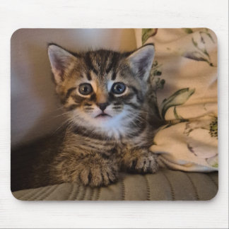 Süße Katze Mousepad