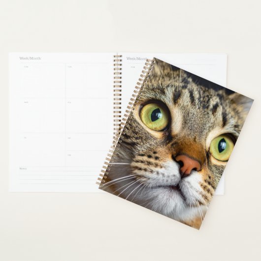 Süße Katze Planer (Anzeige)