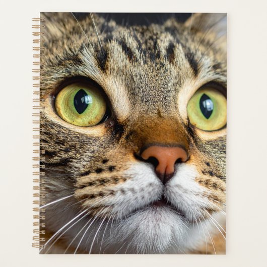 Süße Katze Planer (Vorderseite)