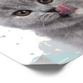 Süße Katze Poster (Ecke)