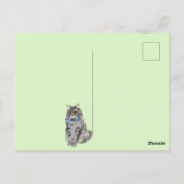 Süße Katze Postkarte (Rückseite)