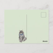 Süße Katze Postkarte (Rückseite)