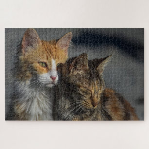 Süße Katze Puzzle