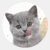 Süße Katze Runder Aufkleber (Vorderseite)