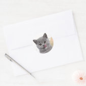Süße Katze Runder Aufkleber (Umschlag)