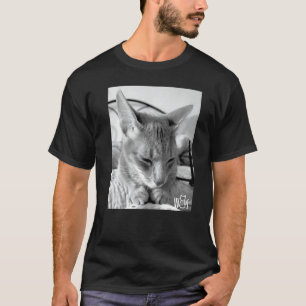 Süße Katze Sachen für Katzen Mädchen Frauen Männer T-Shirt