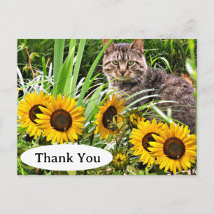 Süße Katze und Sonnenblumen Dankeschön-Postkarte Postkarte