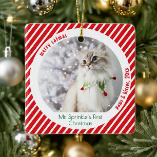 Süße Katzen Erste Weihnachtsfestliche Erinnerung  Keramikornament