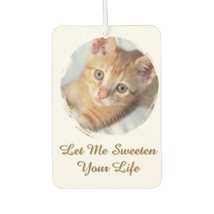 Süße Katzen-Foto, Text, ersetzbar, Autolufterfrischer
