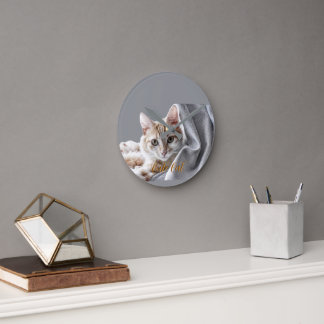 Süße Katzen Runde Wanduhr