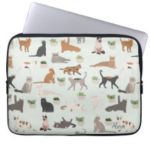 Süße Katzen und Zimmerpflanzen