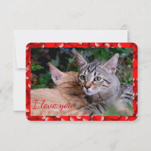 Süße Katzen Valentinstagskarte Einladung