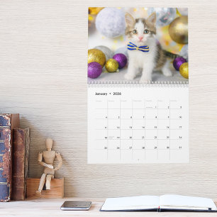 Süße Katzenfoto - Es ist ein Katzenleben 2026  Kalender
