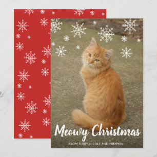 Süße Katzenfoto-Fun-Moderne Weihnachten