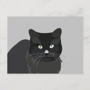 Süße Katzenhaustier Postkarte