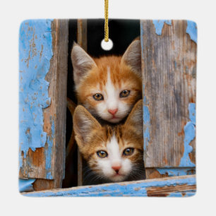 Süße Katzenkätzchen in einem blauen Vintage-Fenste Keramikornament