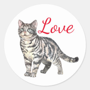 Süße Katzenliebe Tiger Kätzchen Kitty denkt an Dic Runder Aufkleber