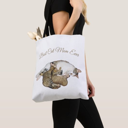 Süße Katzenmutter stillt ihre kleinen Kätzchen Tasche (Von Nahem)
