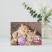 Süße Katzenpostkarte Postkarte (Stehend Vorderseite)