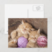 Süße Katzenpostkarte Postkarte (Vorne/Hinten)