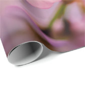 süße Kirschblüten in rosa Farbe und blauer Himmel Geschenkpapier (Rolleneckpunkt)