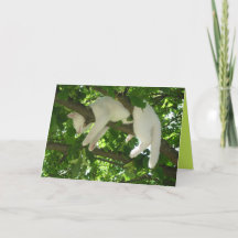 Süße Kitty Katze Süße anpassbare Karte