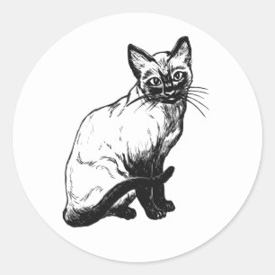 Süße Kitty Katzen Illustration Schwarz Weiß Katze Runder Aufkleber