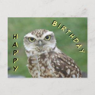 Süße kleine Eule Frohe Geburtstag Postkarte