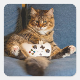 Süße kleine getigerte Katzen-Gamerin-Kitty Quadratischer Aufkleber