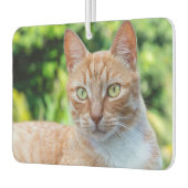 Süße kleine Kätzchen Autolufterfrischer (Links)