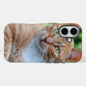 Süße kleine Kätzchen Case-Mate iPhone Hülle (Rückseite (Horizontal))