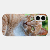 Süße kleine Kätzchen Case-Mate iPhone Hülle (Rückseite (Horizontal))