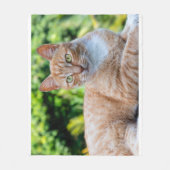 Süße kleine Kätzchen Fleecedecke (Vorderseite)