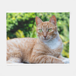 Süße kleine Kätzchen Fleecedecke