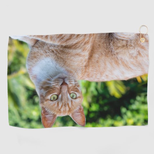 Süße kleine Kätzchen Golfhandtuch (Horizontal)