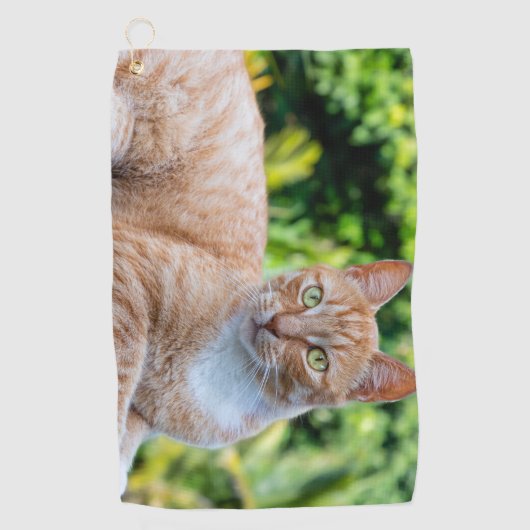 Süße kleine Kätzchen Golfhandtuch (Vorderseite)