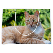 Süße kleine Kätzchen Große Geschenktüte (Vorderseite)