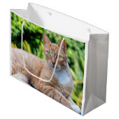 Süße kleine Kätzchen Große Geschenktüte (Vorderseite Schrägansicht)