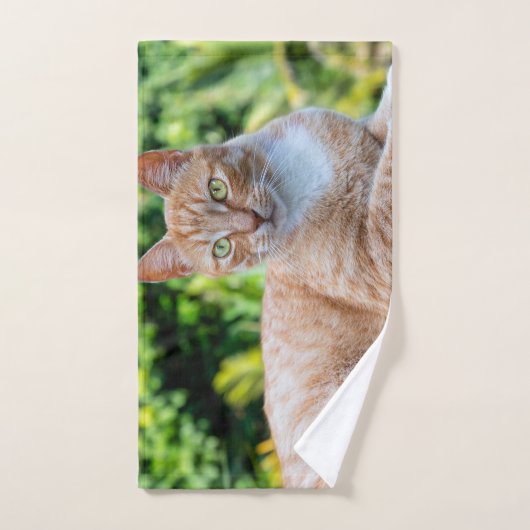 Süße kleine Kätzchen Handtuch (Handtuch)