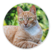 Süße kleine Kätzchen Keramikknauf (Vorderseite)