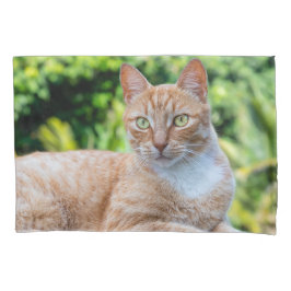 Süße kleine Kätzchen Kissenbezug