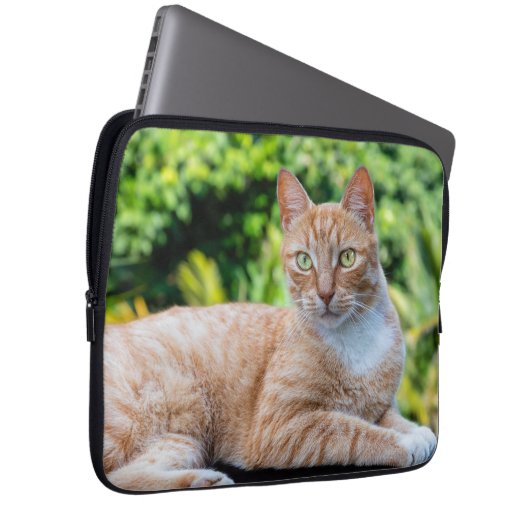 Süße kleine Kätzchen Laptopschutzhülle (Vorne Rechts)