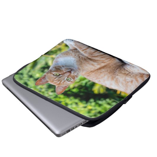 Süße kleine Kätzchen Laptopschutzhülle (Vorne Knopf)