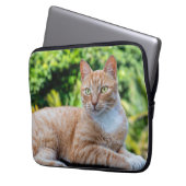 Süße kleine Kätzchen Laptopschutzhülle (Vorderseite Links)
