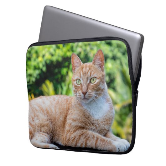 Süße kleine Kätzchen Laptopschutzhülle (Vorderseite Links)
